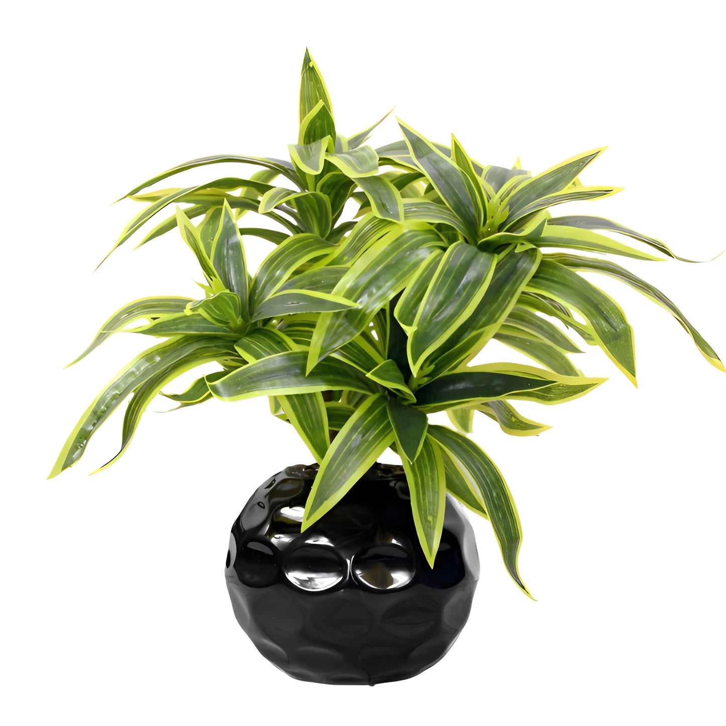 Realistic Lily Plants