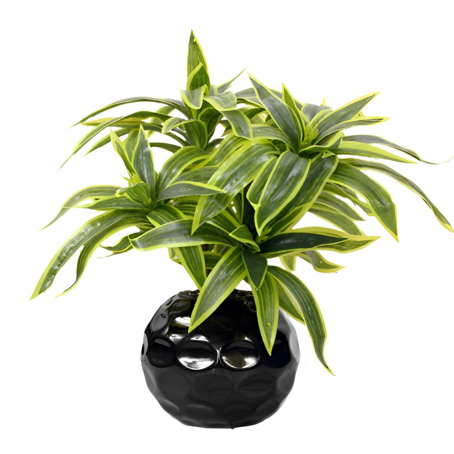 Realistic Lily Plants